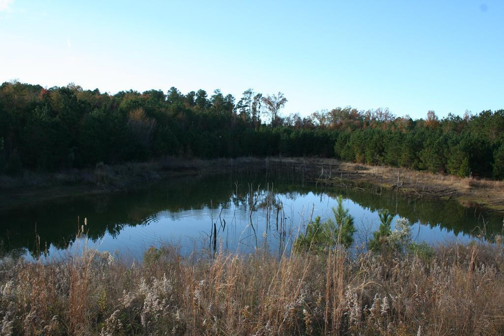 0 Adams-Reeves Road Dearing, GA 30808 - Photo 1 of 2