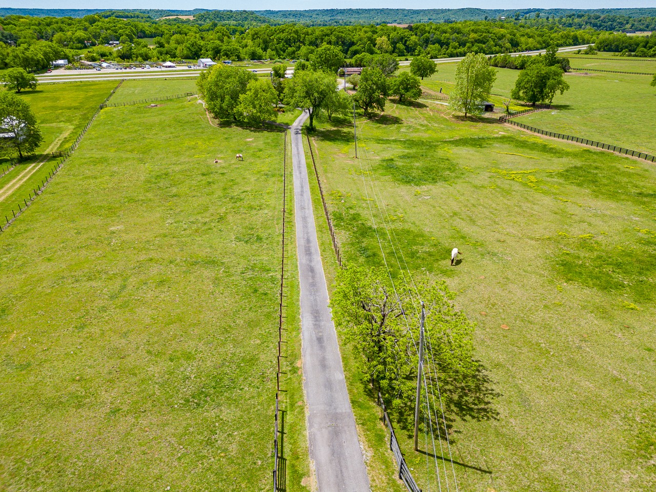 429 Hicks Cut Road Pulaski, TN 38478 - Photo 3 of 70