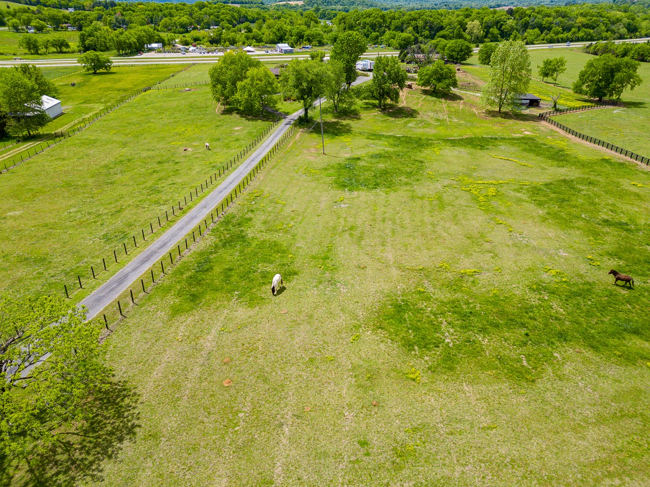 429 Hicks Cut Road Pulaski, TN 38478 - Photo 4 of 70