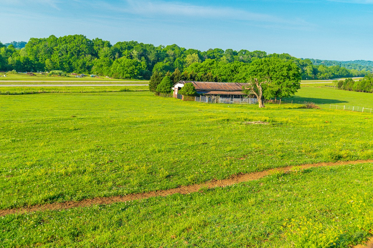 429 Hicks Cut Road Pulaski, TN 38478 - Photo 68 of 70 a view of a garden with an outdoor space