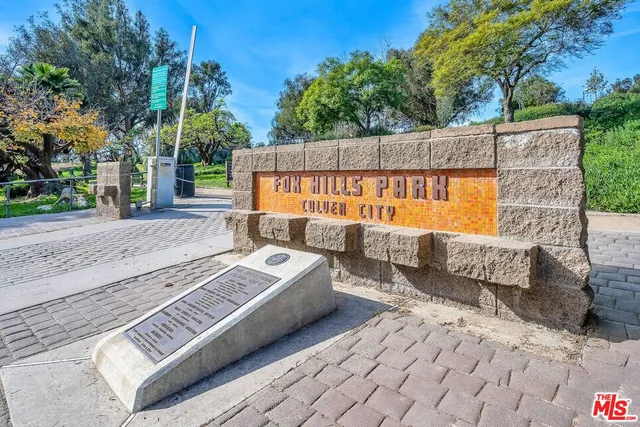 a view of a backyard with a large tree