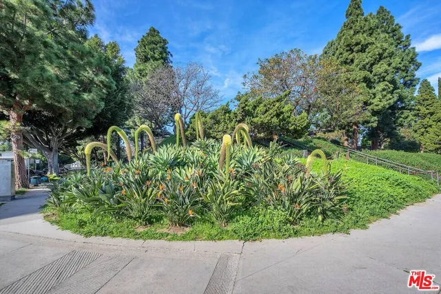 a view of a garden with plants