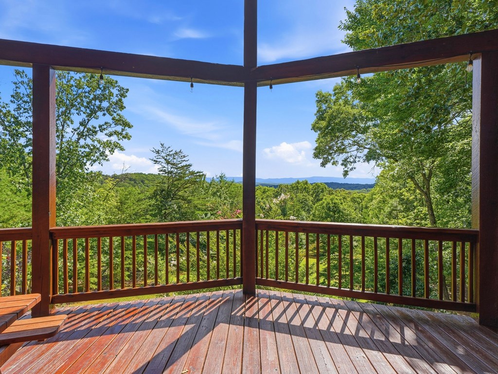 516 Endless View Road Mineral Bluff, GA 30559 - Photo 9 of 55