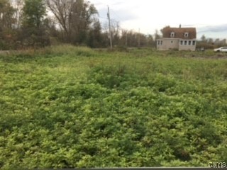 6069 Muck Road Rome, NY 13440 - Photo 4 of 10