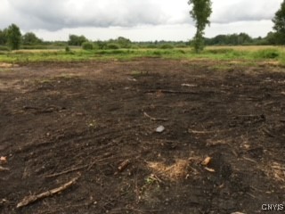 6069 Muck Road Rome, NY 13440 - Photo 9 of 10