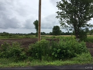 6069 Muck Road Rome, NY 13440 - Photo 10 of 10