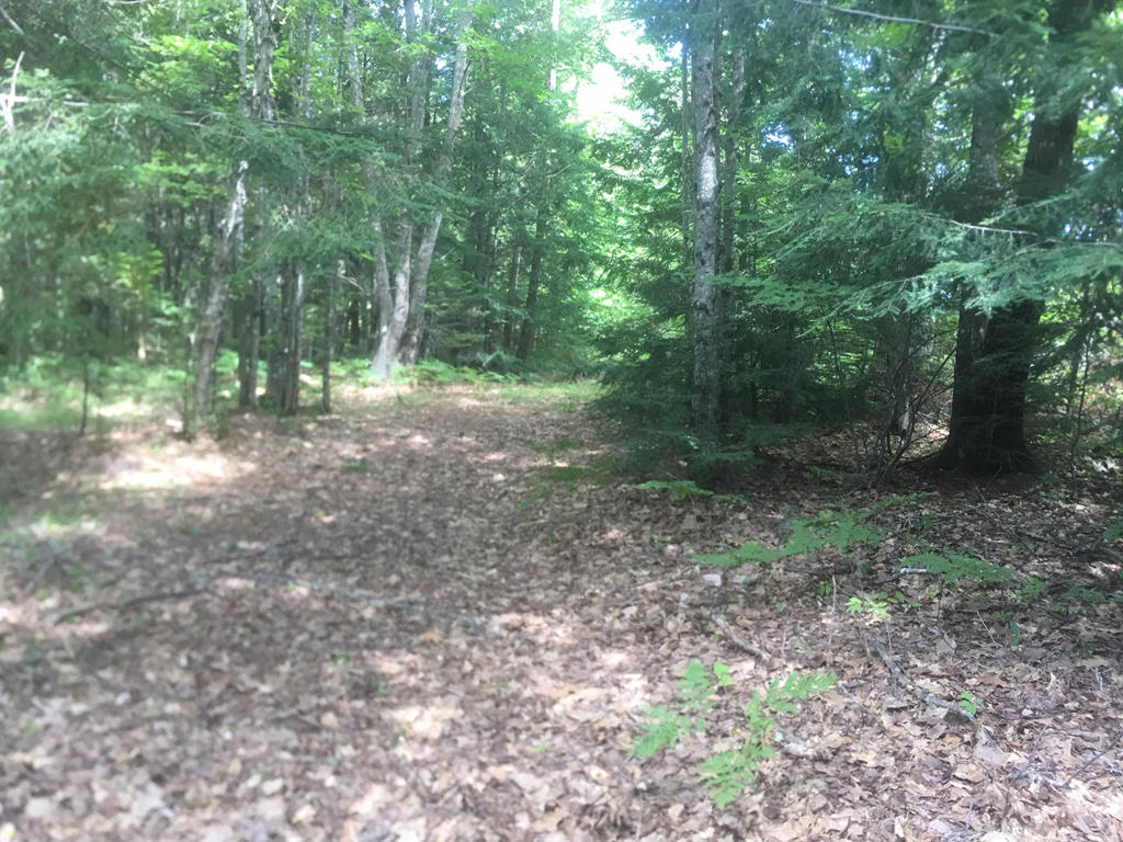 839 Lower Detroit Road Plymouth, ME 04969 - Photo 25 of 25 25 Yard