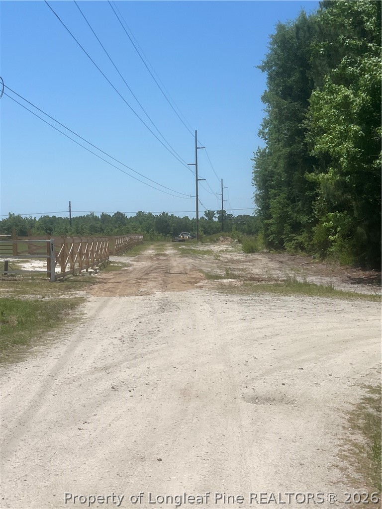 Harleyville Road Rowland, NC 28383 - Photo 3 of 6