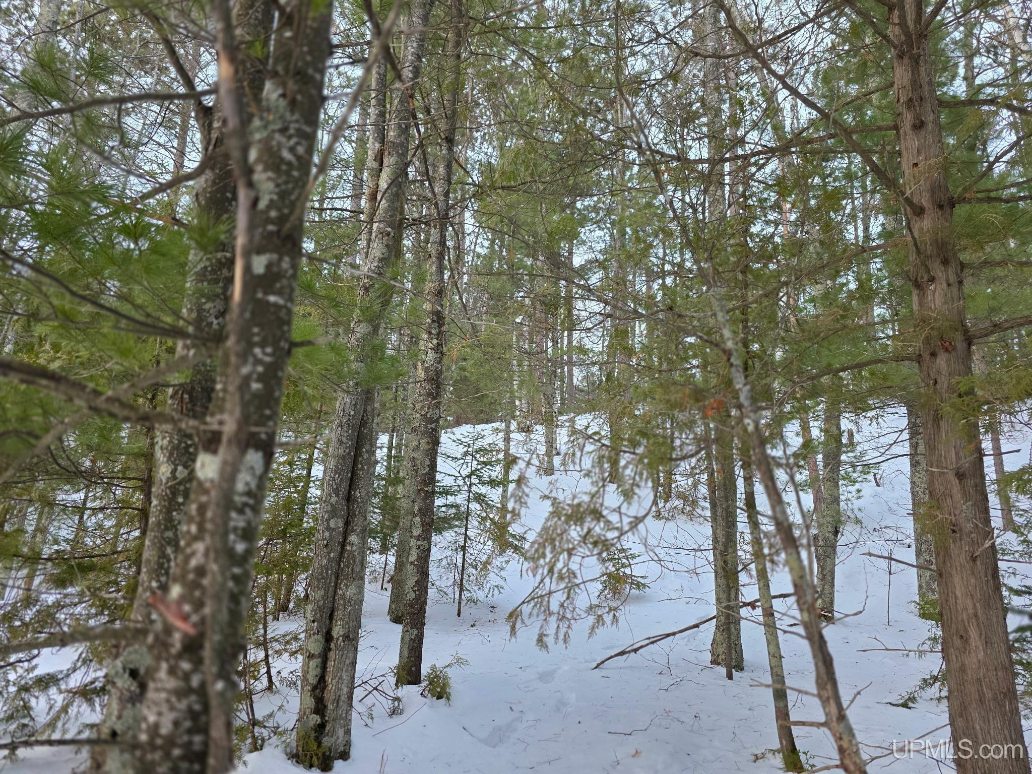 Tbd Sand Lake Road Marquette, MI 49855 - Photo 3 of 13