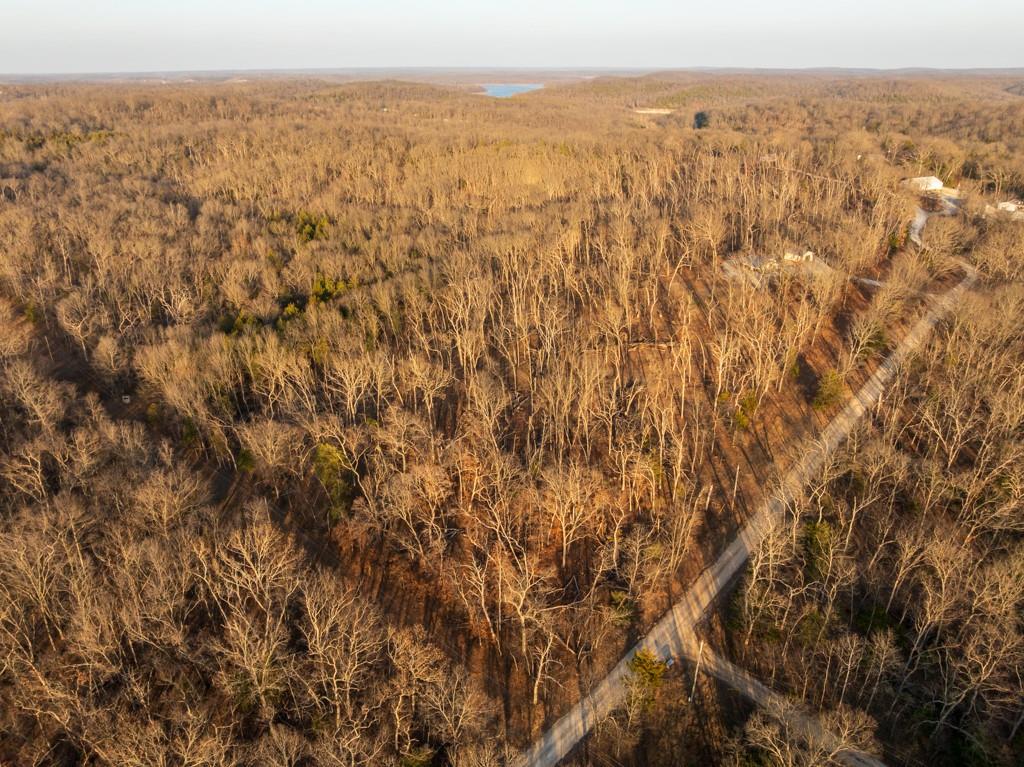 9539 Northeast 866 Road Lowry City, MO 64763 - Photo 2 of 76