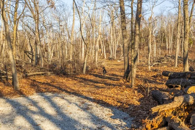 $225,000 | 9539 Northeast 866 Road, Lowry City, MO 64763