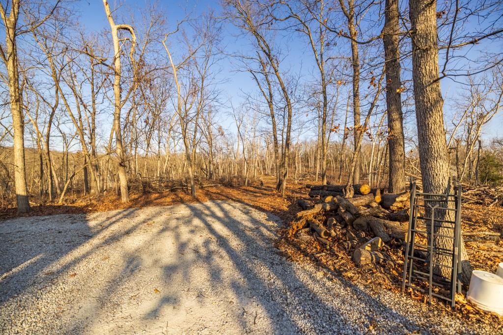 9539 Northeast 866 Road Lowry City, MO 64763 - Photo 25 of 76
