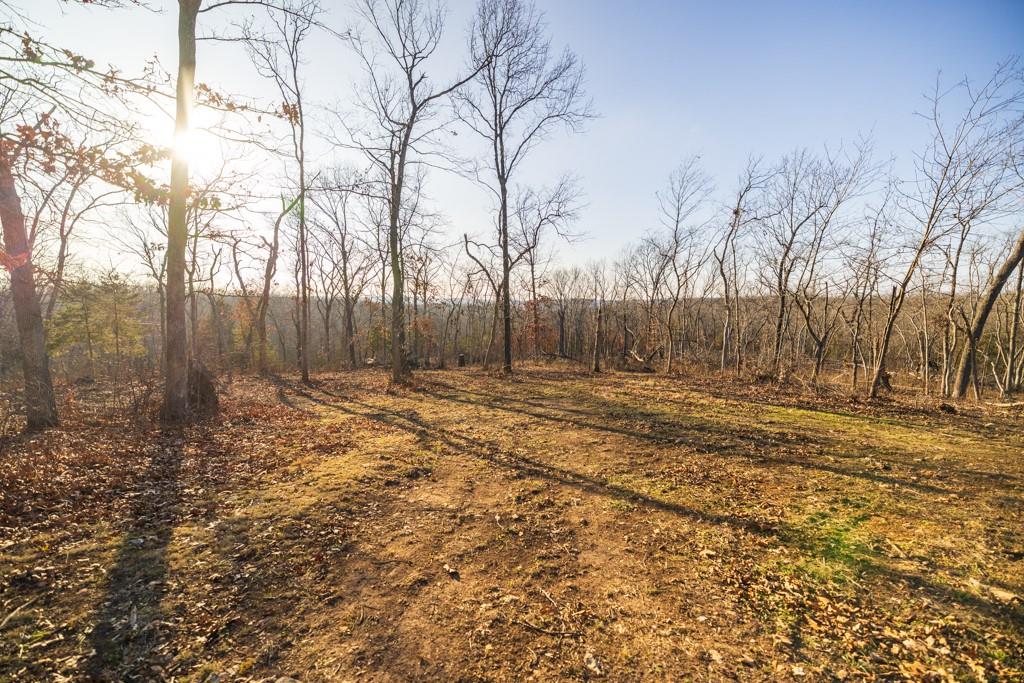 9539 Northeast 866 Road Lowry City, MO 64763 - Photo 47 of 76