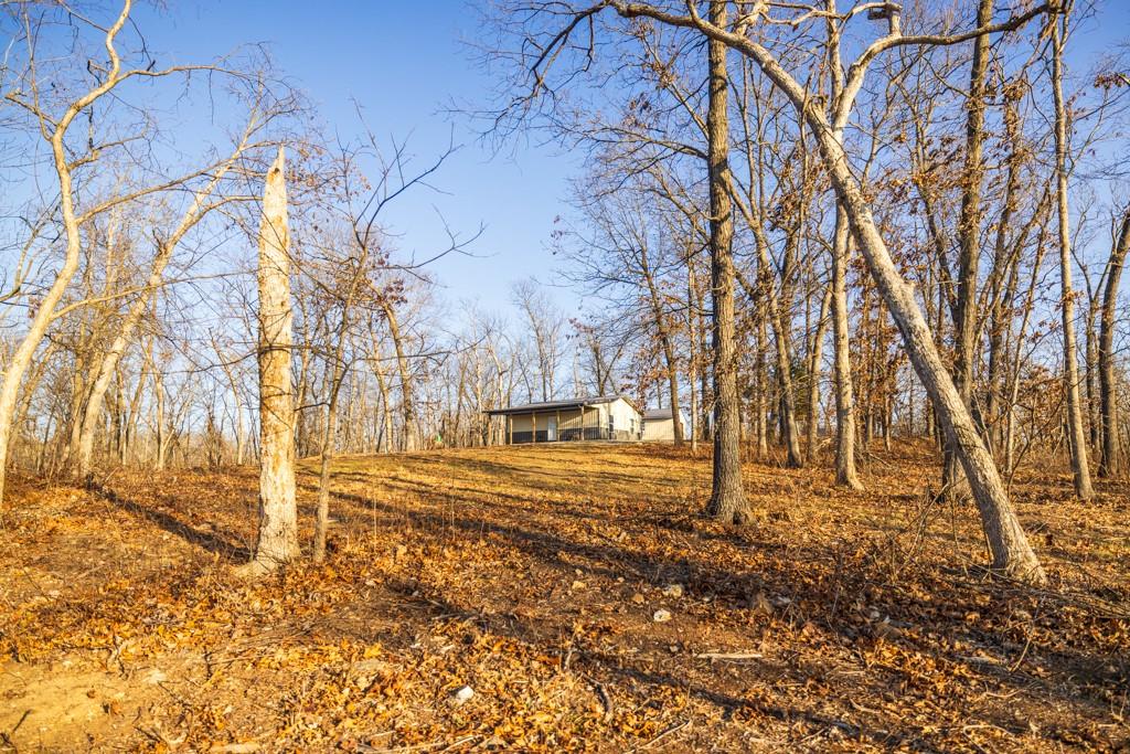 9539 Northeast 866 Road Lowry City, MO 64763 - Photo 48 of 76