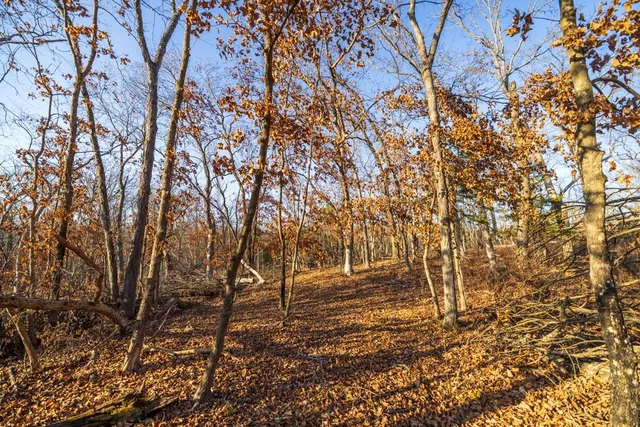 $225,000 | 9539 Northeast 866 Road, Lowry City, MO 64763