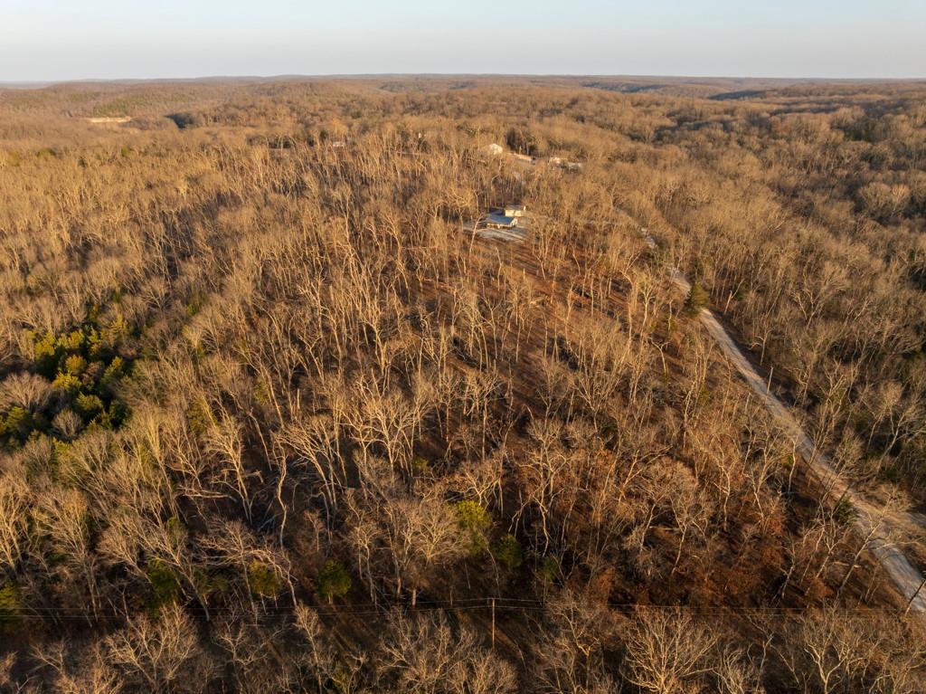 9539 Northeast 866 Road Lowry City, MO 64763 - Photo 5 of 76