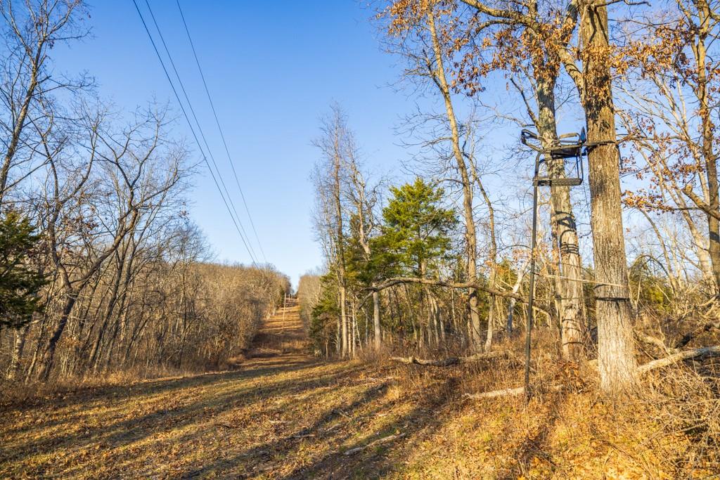 9539 Northeast 866 Road Lowry City, MO 64763 - Photo 51 of 76