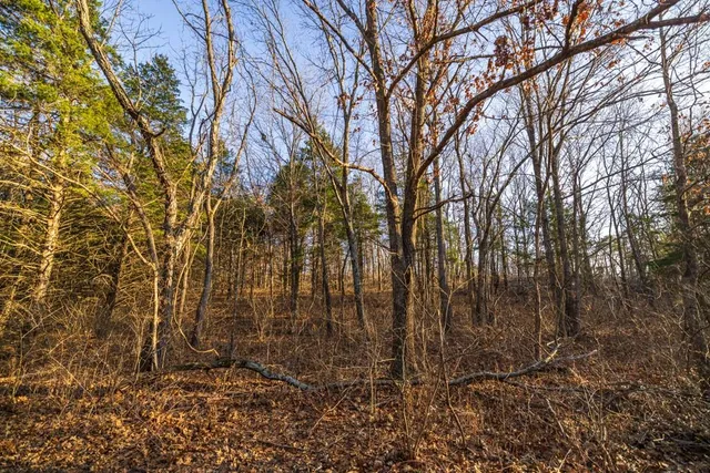 $225,000 | 9539 Northeast 866 Road, Lowry City, MO 64763