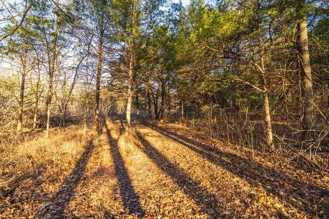 $225,000 | 9539 Northeast 866 Road, Lowry City, MO 64763