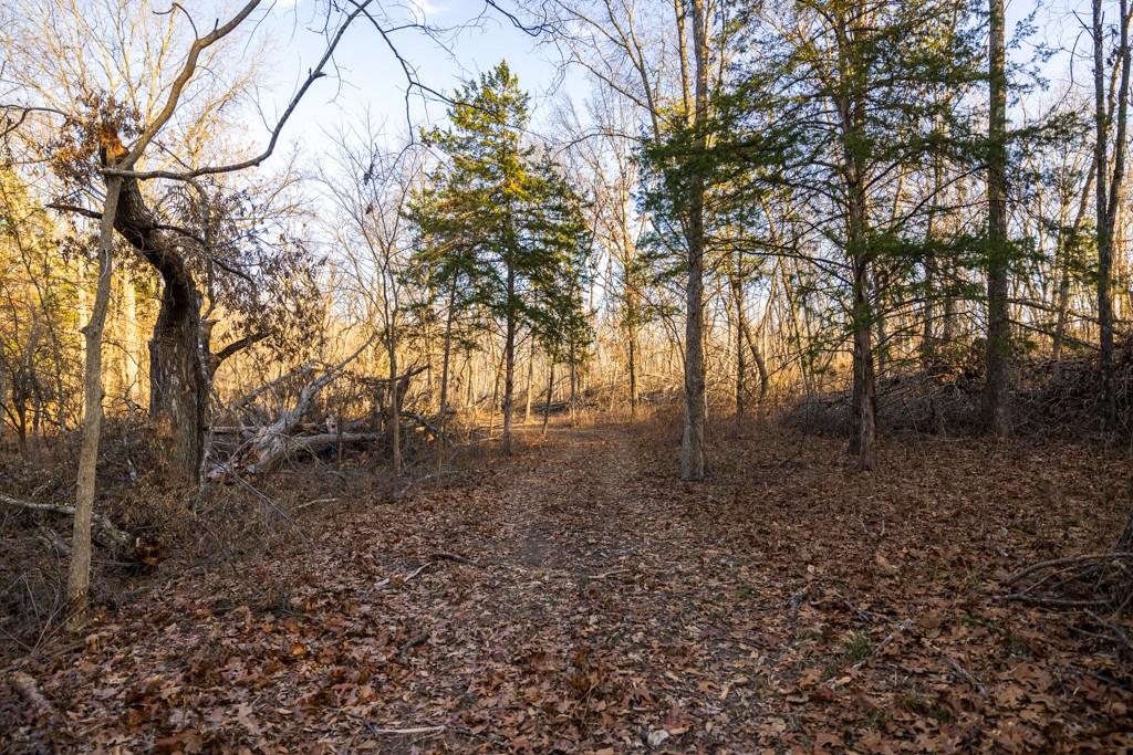 9539 Northeast 866 Road Lowry City, MO 64763 - Photo 60 of 76