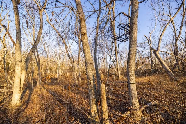 $225,000 | 9539 Northeast 866 Road, Lowry City, MO 64763