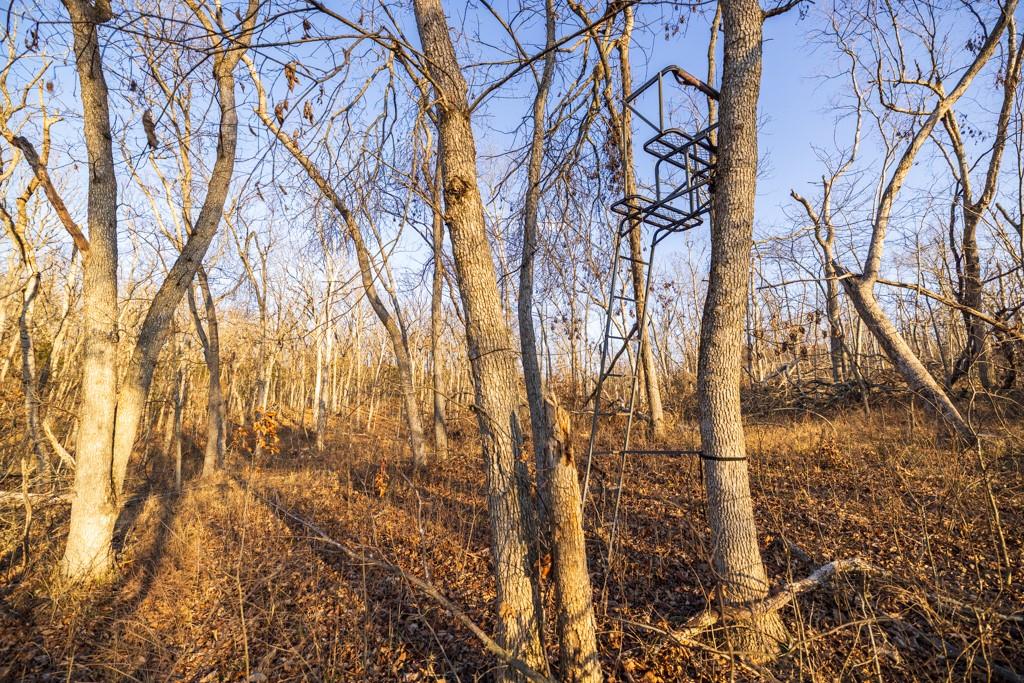 9539 Northeast 866 Road Lowry City, MO 64763 - Photo 61 of 76