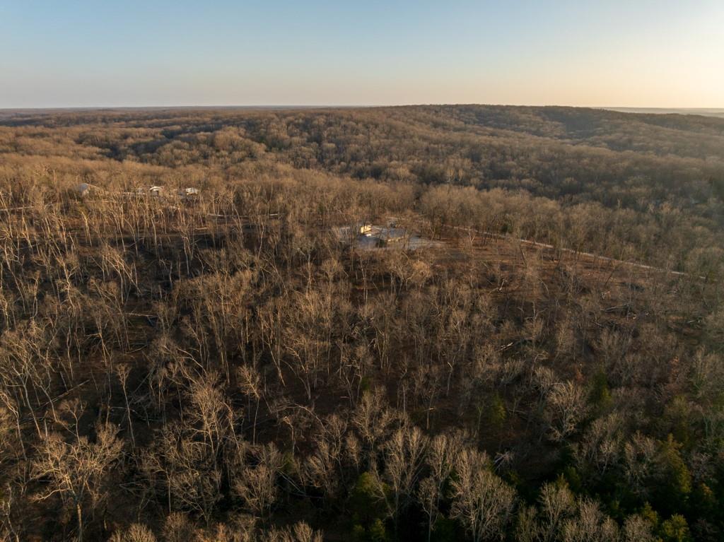 9539 Northeast 866 Road Lowry City, MO 64763 - Photo 7 of 76