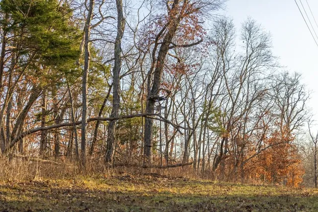 $225,000 | 9539 Northeast 866 Road, Lowry City, MO 64763