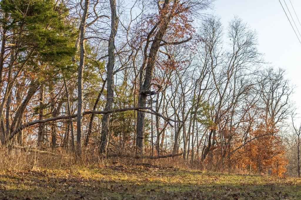 9539 Northeast 866 Road Lowry City, MO 64763 - Photo 72 of 76