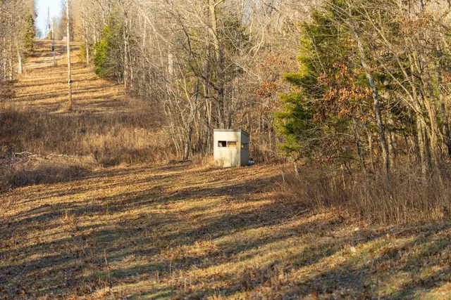 $225,000 | 9539 Northeast 866 Road, Lowry City, MO 64763