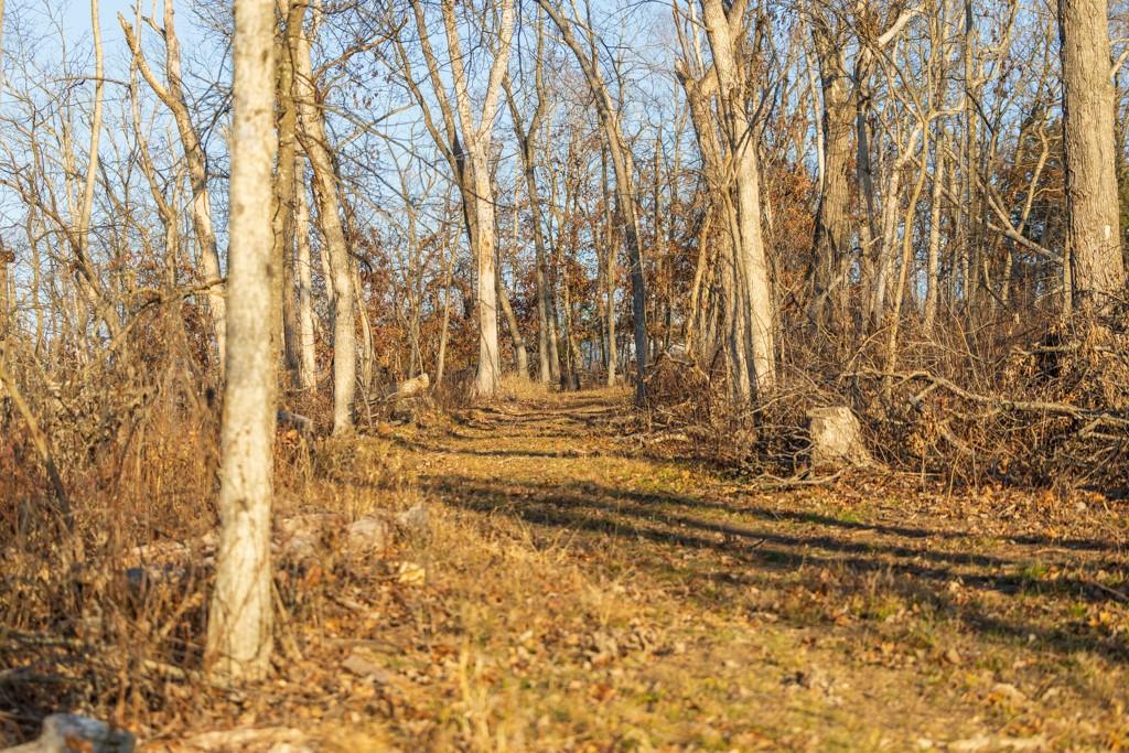 9539 Northeast 866 Road Lowry City, MO 64763 - Photo 74 of 76