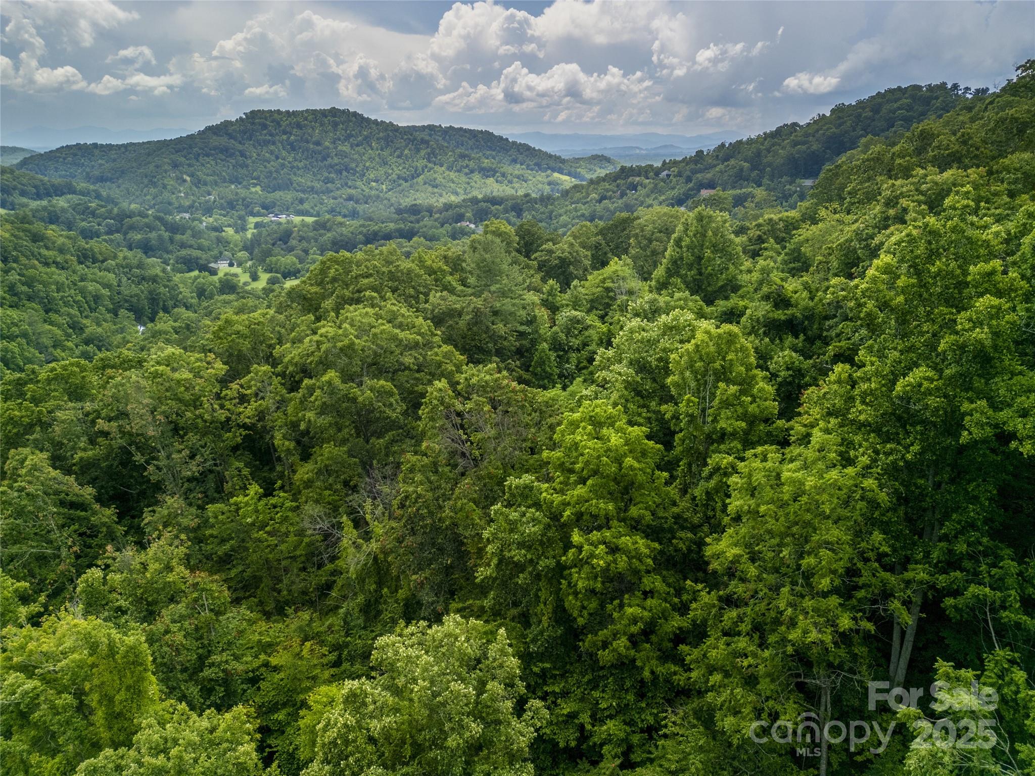 364 Chisel Rock Way Weaverville, NC 28787 - Photo 17 of 19