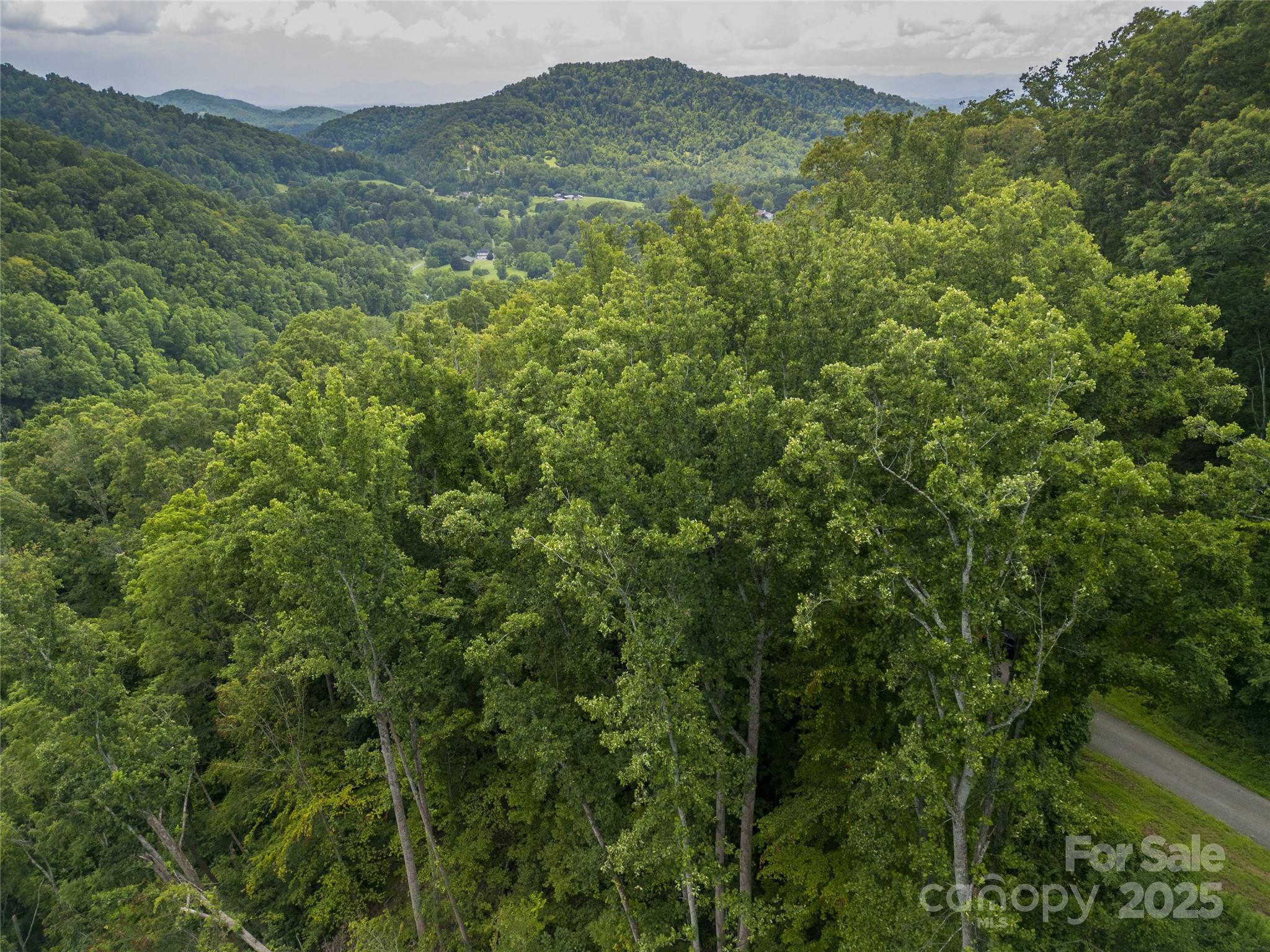 364 Chisel Rock Way Weaverville, NC 28787 - Photo 18 of 19