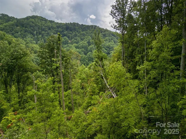 $75,000 | 364 Chisel Rock Way, Weaverville, NC 28787