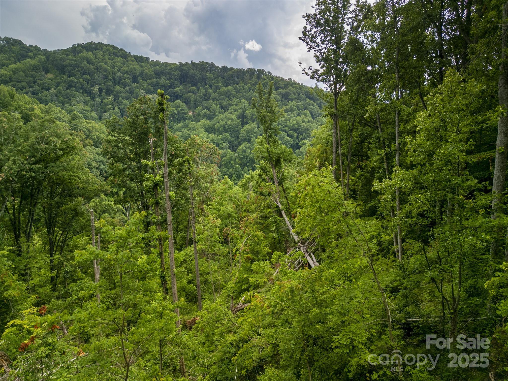 364 Chisel Rock Way Weaverville, NC 28787 - Photo 19 of 19