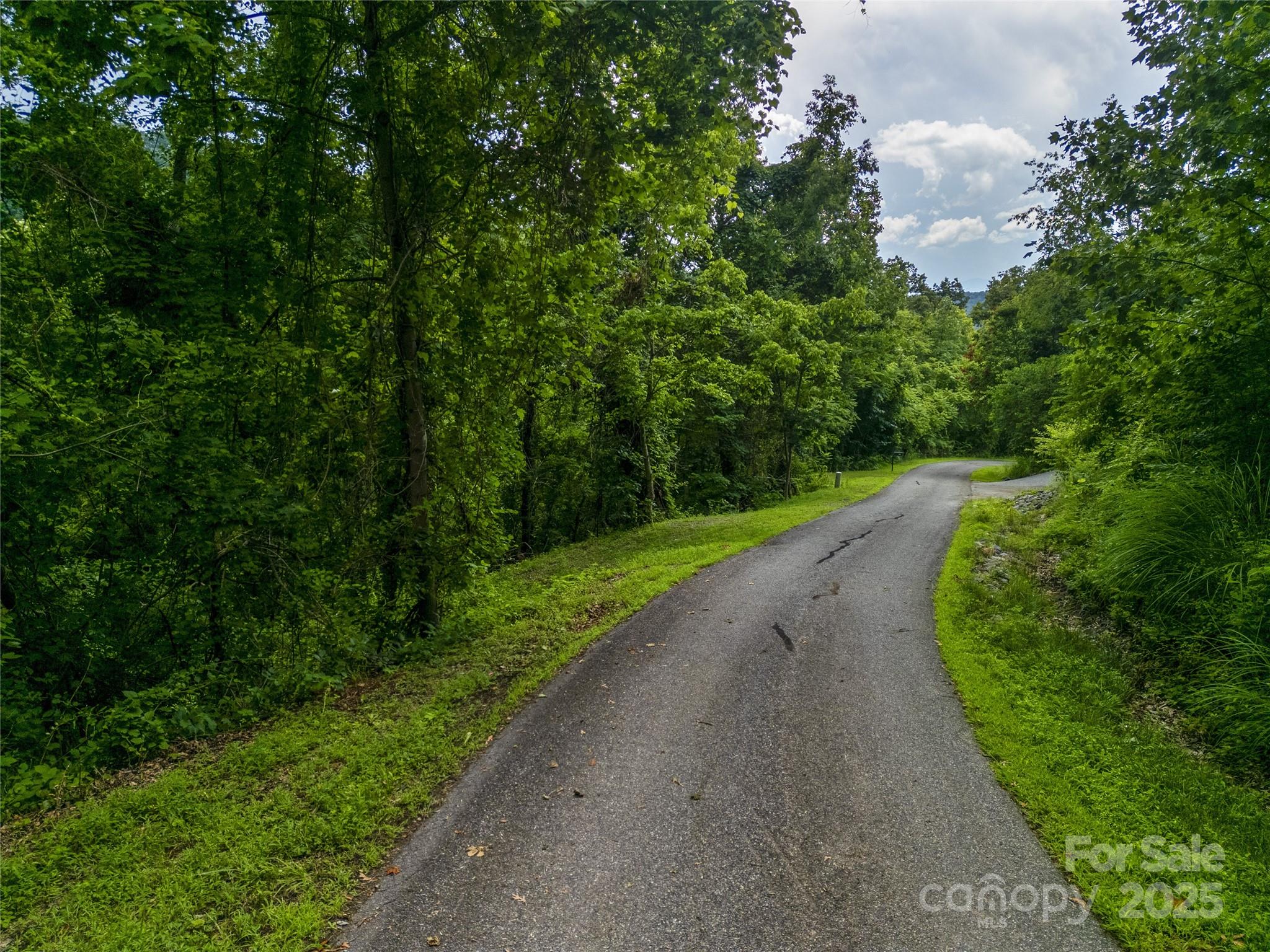 364 Chisel Rock Way Weaverville, NC 28787 - Photo 2 of 19