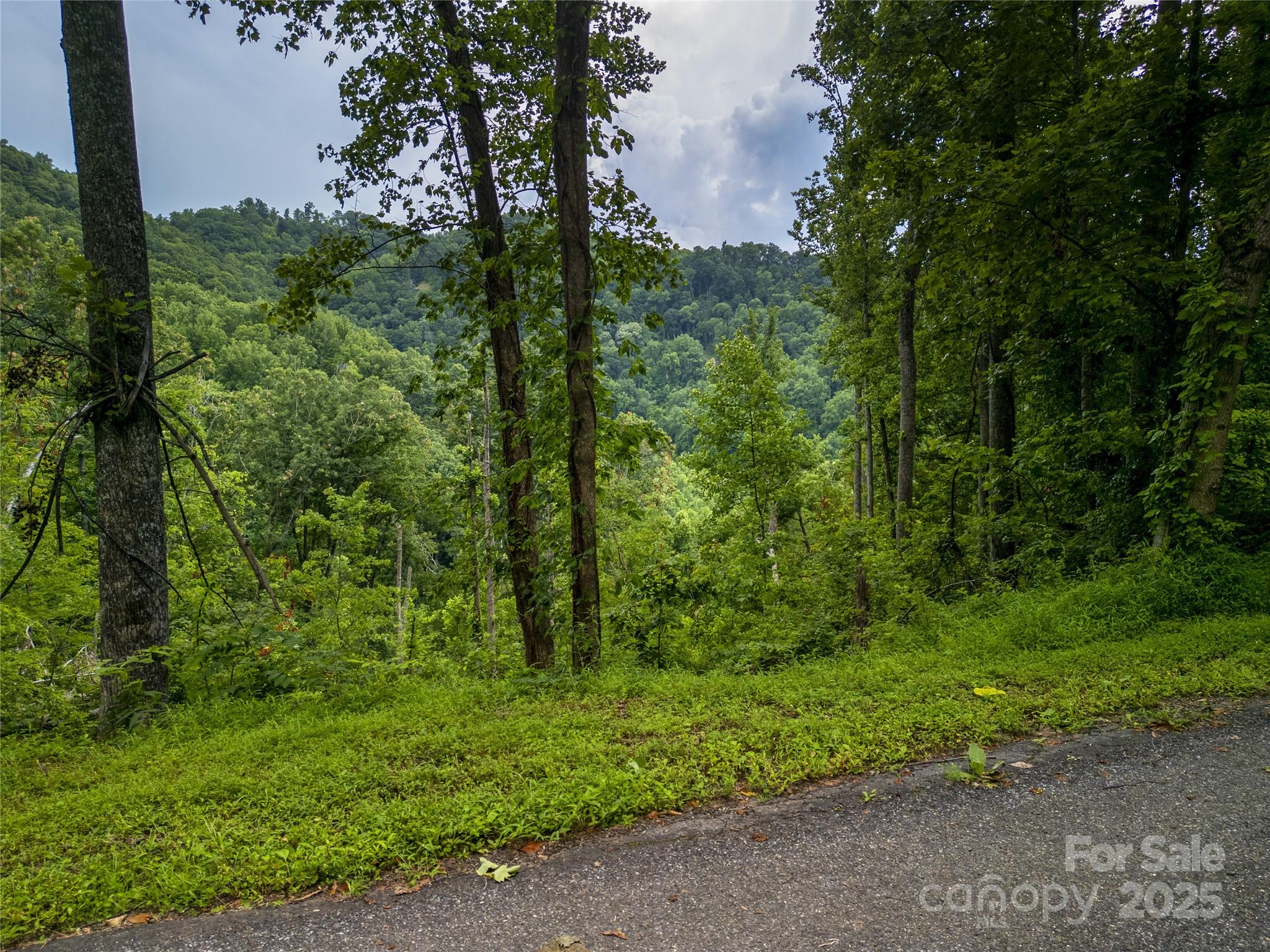 364 Chisel Rock Way Weaverville, NC 28787 - Photo 4 of 19