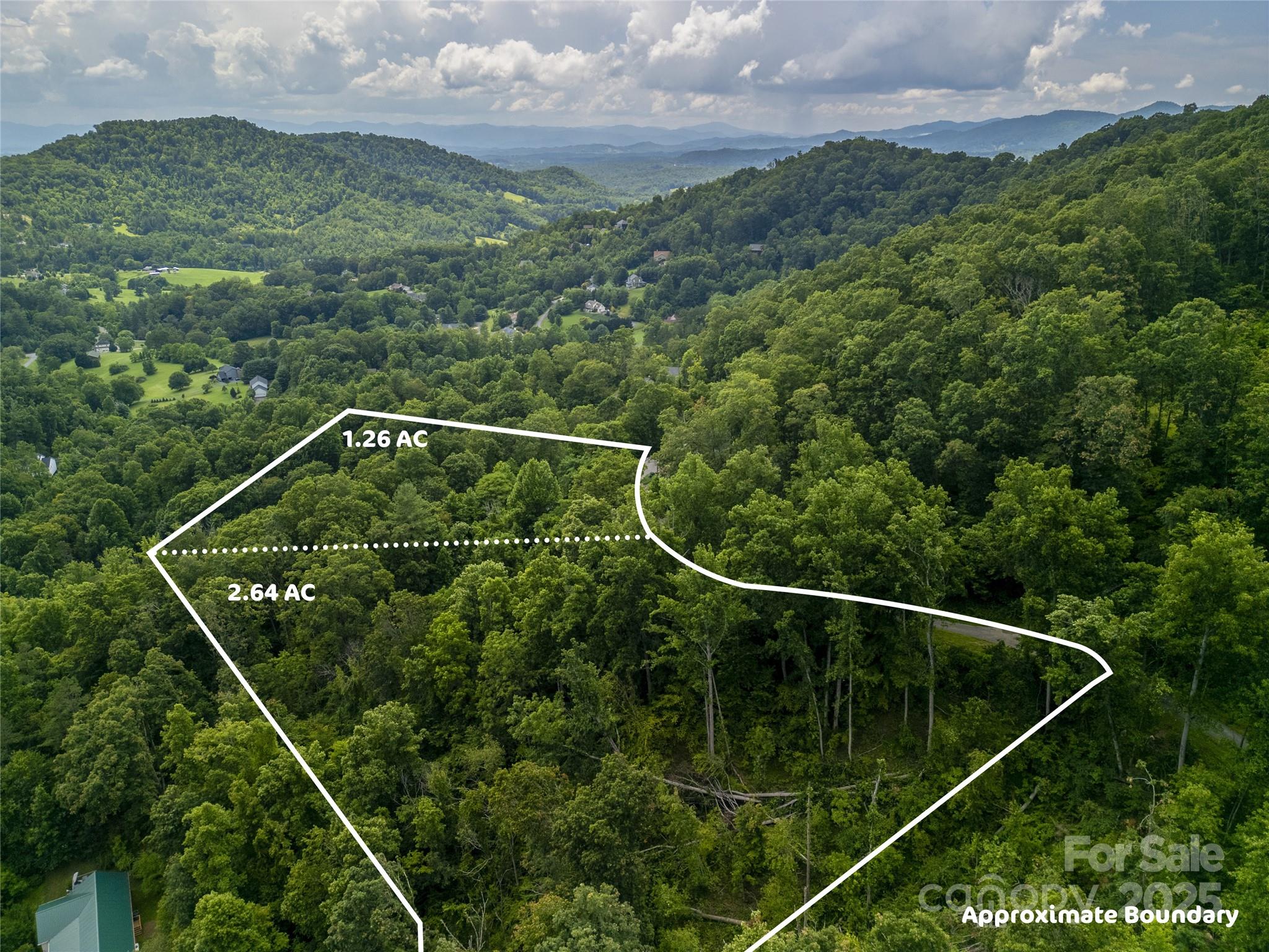 364 Chisel Rock Way Weaverville, NC 28787 - Photo 6 of 19