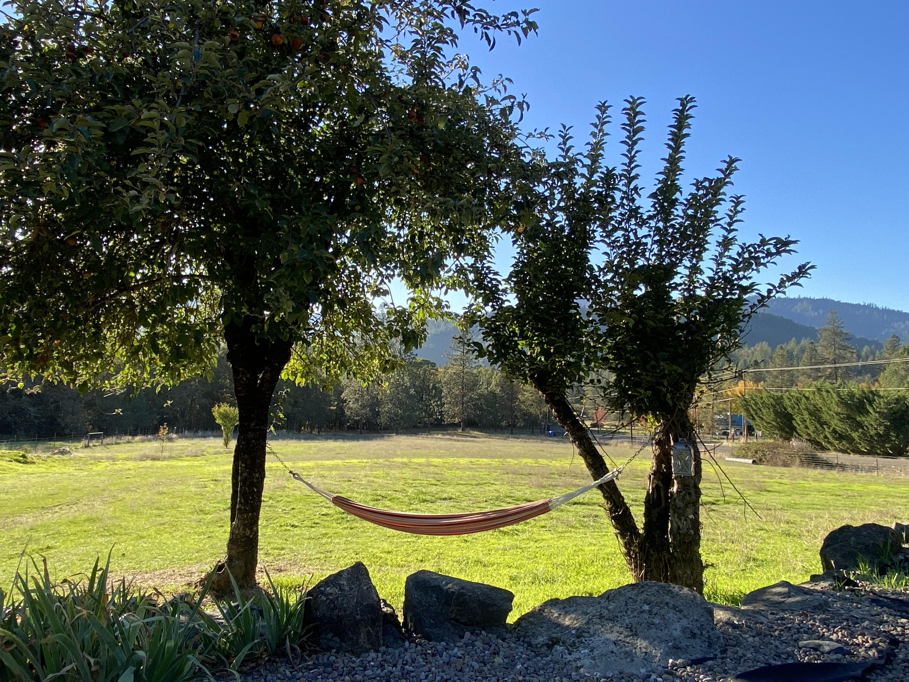 726 Earhart Road Rogue River, OR 97537 - Photo 35 of 35 HAMMOCK