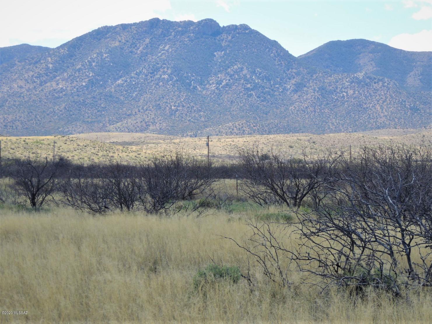 Tbd West Pearce Road, Unit 2 Pearce, AZ 85625 - Photo 10 of 19