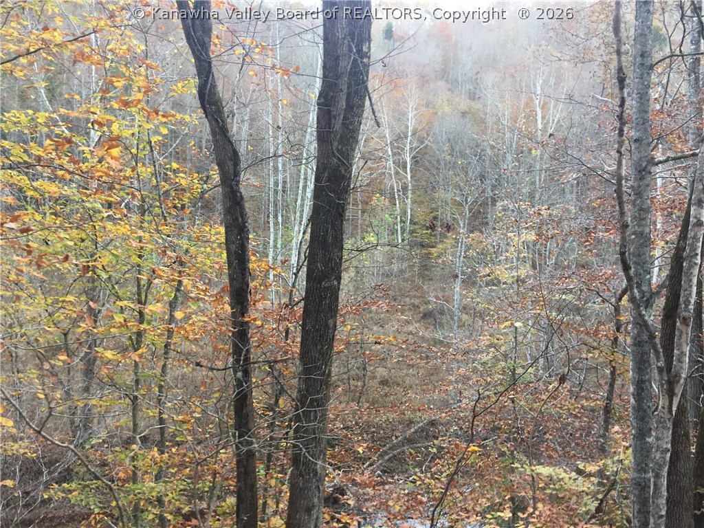 1 Guyan River Road Harts, WV 25524 - Photo 6 of 7 Gallery Image 6