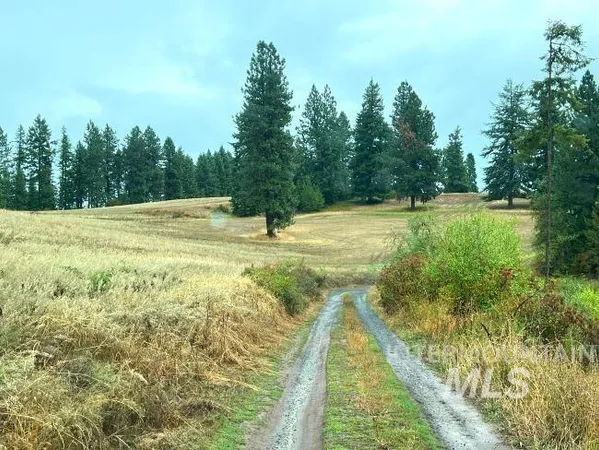 $4,950,000 | Nka Freeman Creek Road, Ahsahka, ID 83520