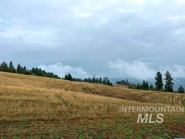 $4,950,000 | Nka Freeman Creek Road, Ahsahka, ID 83520