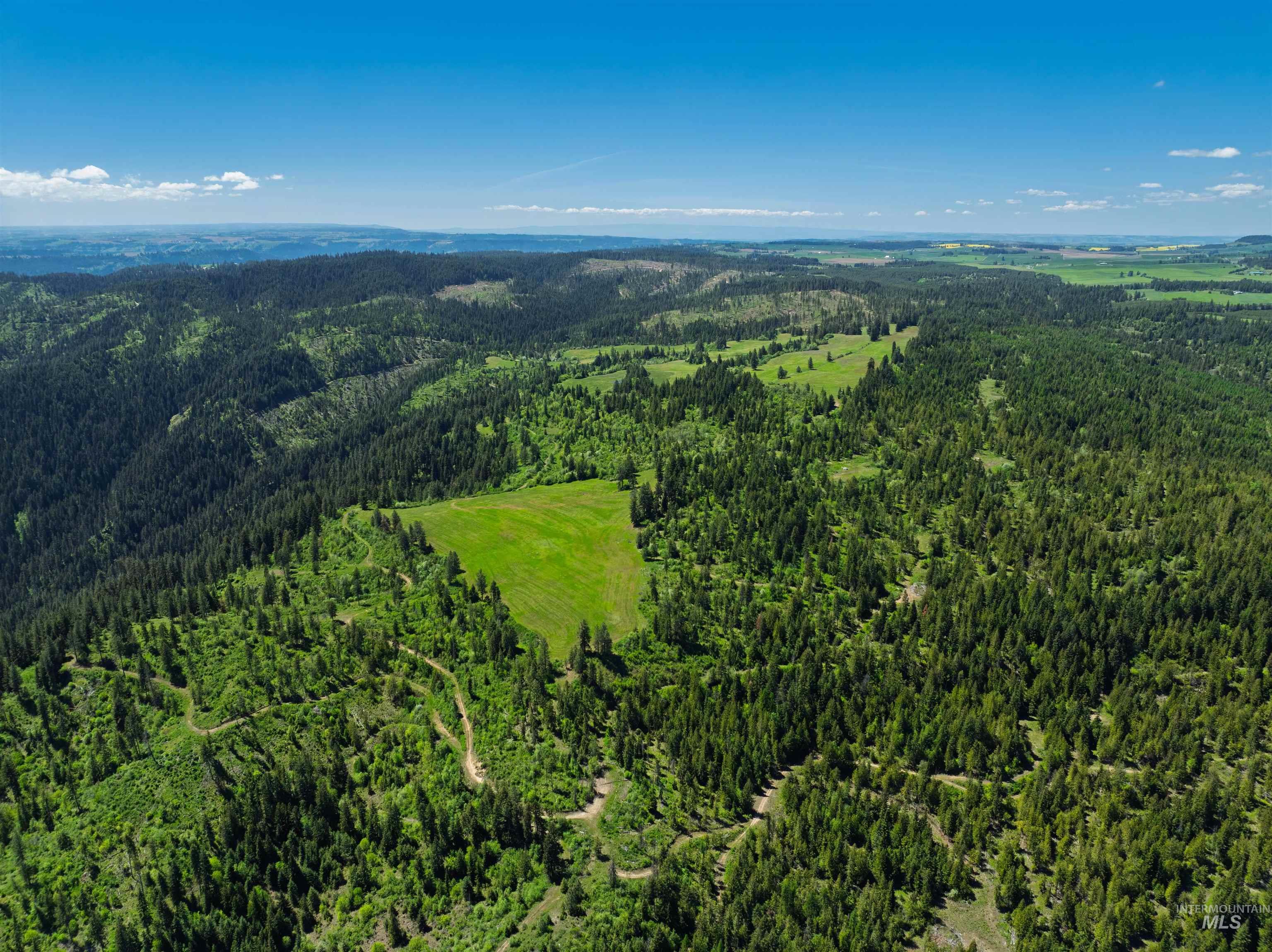 Nka Freeman Creek Road Ahsahka, ID 83520 - Photo 15 of 30