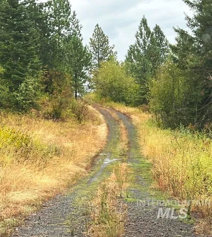 $5,600,000 | Nka Freeman Creek Road, Ahsahka, ID 83520