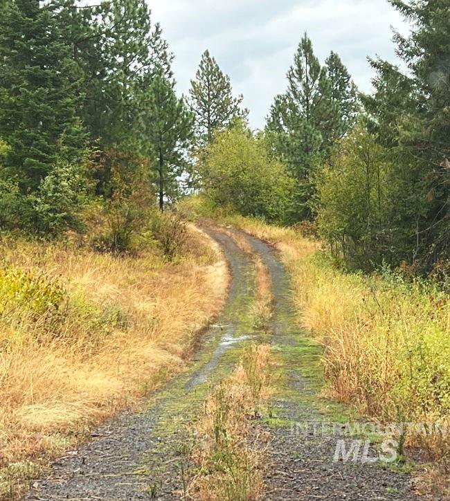 Nka Freeman Creek Road Ahsahka, ID 83520 - Photo 16 of 28
