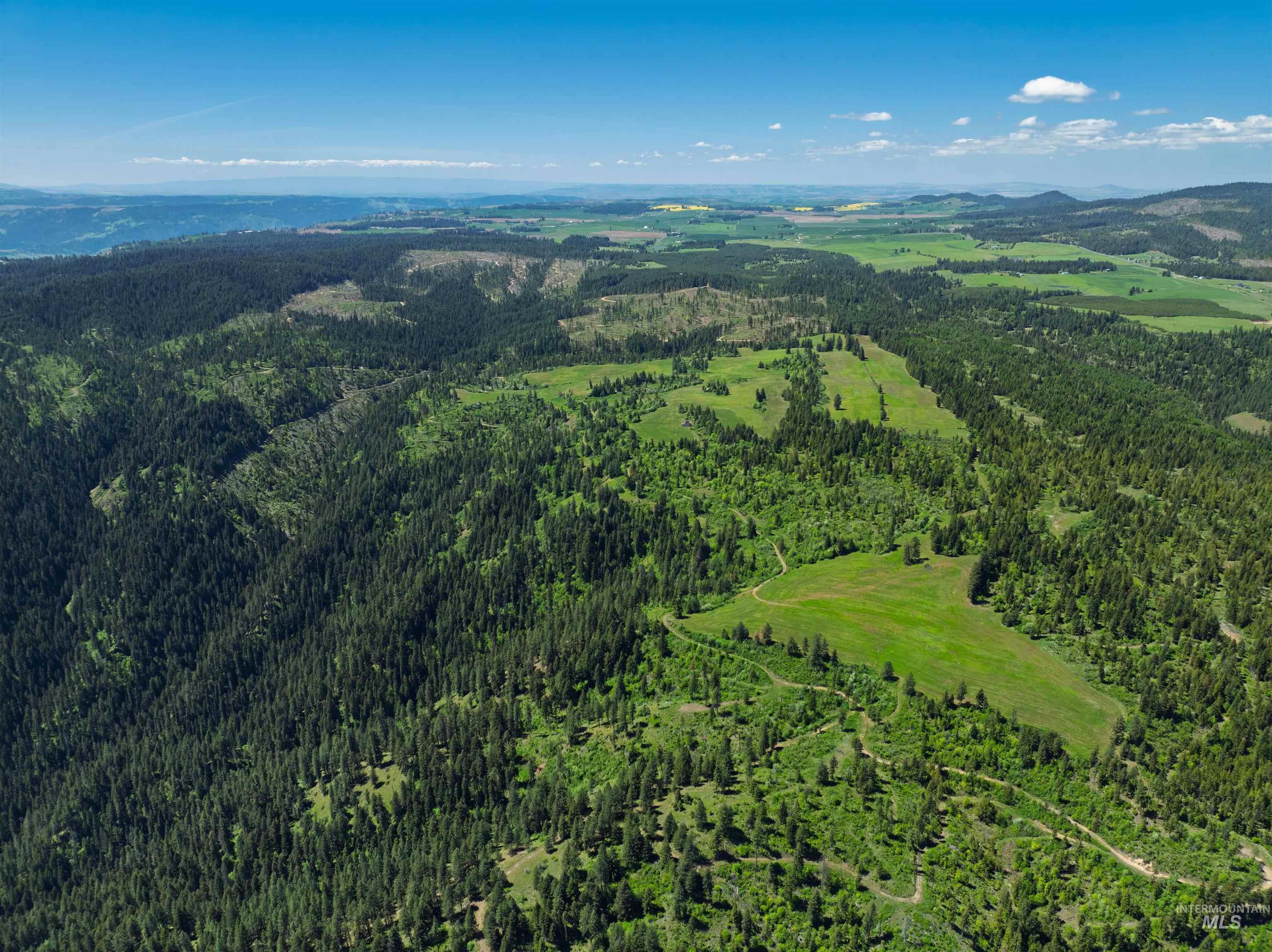 Nka Freeman Creek Road Ahsahka, ID 83520 - Photo 16 of 30