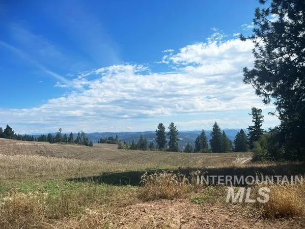 $4,950,000 | Nka Freeman Creek Road, Ahsahka, ID 83520