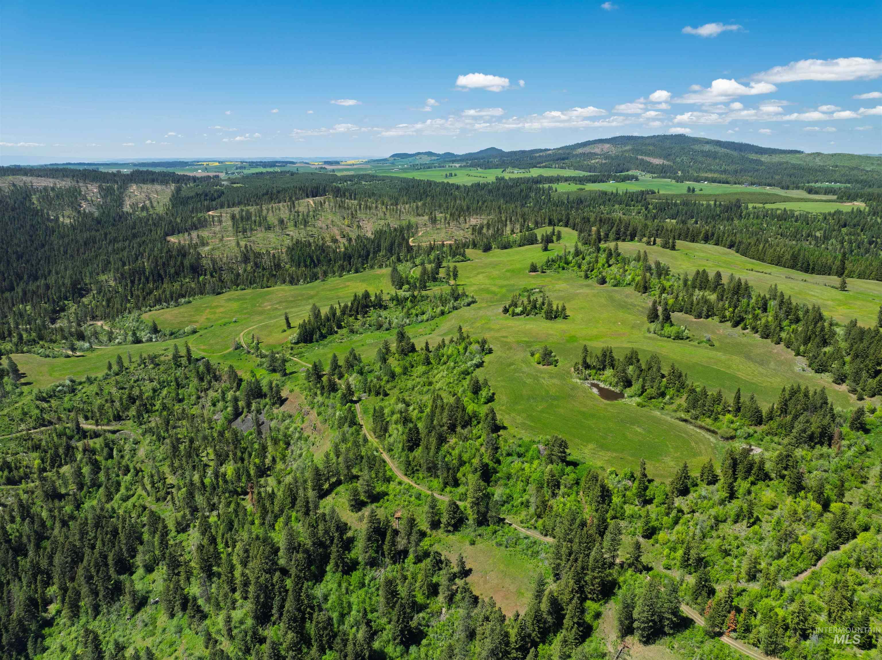 Nka Freeman Creek Road Ahsahka, ID 83520 - Photo 17 of 30