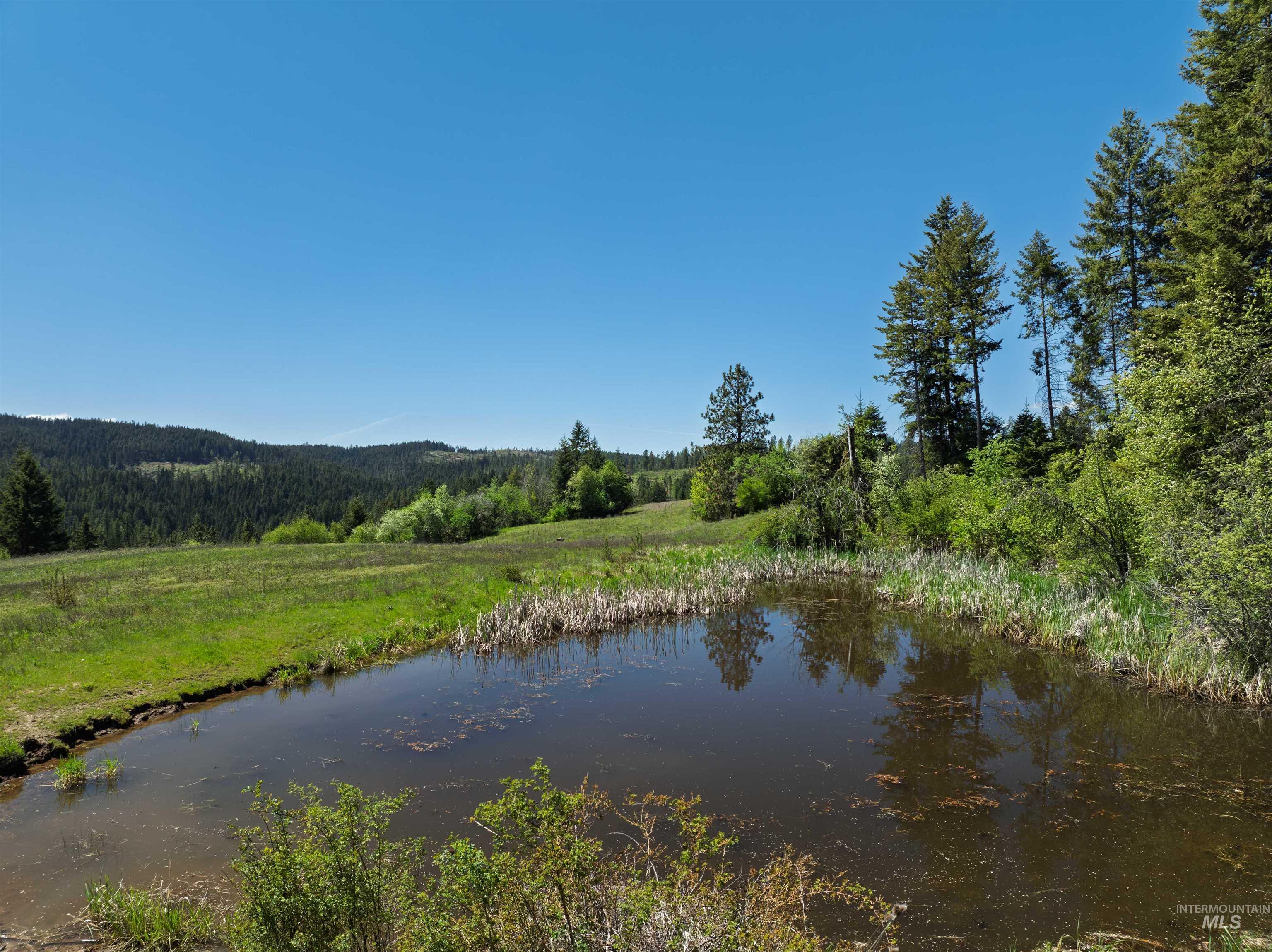 Nka Freeman Creek Road Ahsahka, ID 83520 - Photo 18 of 30